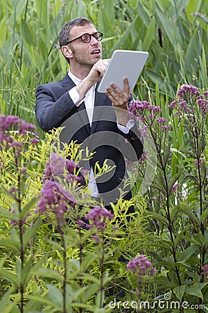 Focused male mad botanist working and searching on tablet outside Stock Photo