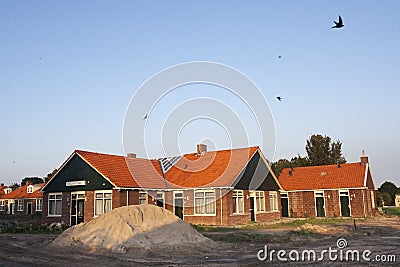 Foeragerende zwaluwen, Foraging swallows Stock Photo