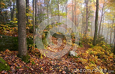 Fog in Allegheny mountains Stock Photo