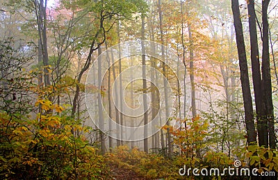 Fog in Allegheny mountains Stock Photo