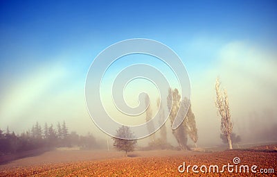 Fog arc, white rainbow, fogscape, Halo Stock Photo
