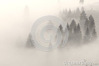 Fog is climbing on the hill befor the sunrise Stock Photo