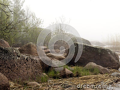 Fog and coastal rocks Stock Photo