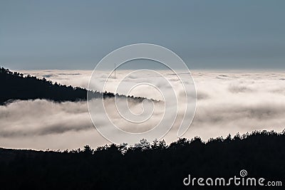 The fog drowns me! Stock Photo