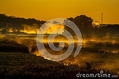 Fog glowing during the sunrise Stock Photo