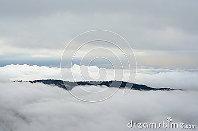 Fog on high mountain in Phu Ruea National Park, Loei Province, T Stock Photo