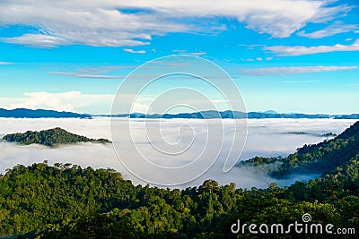 The fog at Khao Phanoen Thung, Kaeng Krachan National Park in Th Stock Photo