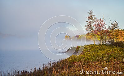 Fog and mist rises all around a wooded wetland marsh, enshrouding with fog, a colorful, waterfront, deciduous forest. Stock Photo