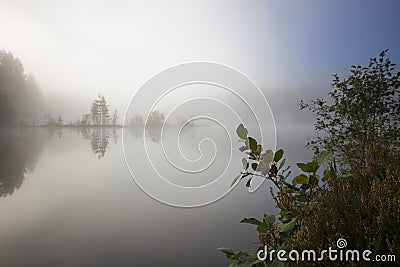 Fog in the morning Stock Photo