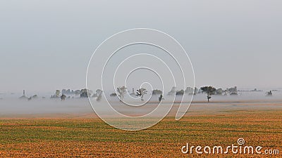 Fog over a golden soybean field Stock Photo