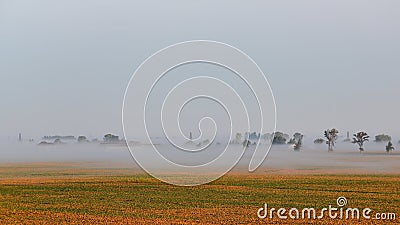 Fog over a golden soybean field Stock Photo