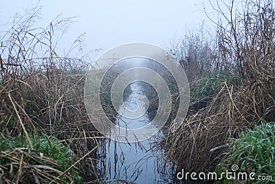 Fog panorama foggy landscape sky sun filter trees Stock Photo