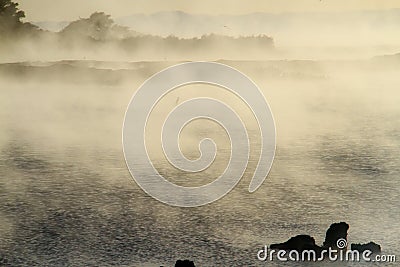 Fog at rotorua lake Stock Photo