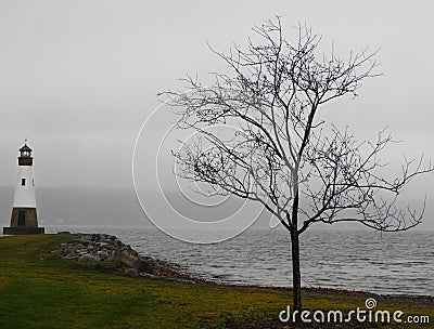 Fog, tree and lighthouse on Cayuga Lake FingerLakes NYS Stock Photo