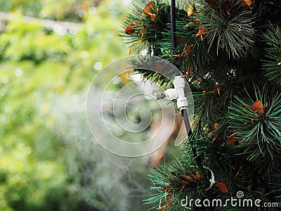 Fog water or mist spray nozzle setup on tree for watering plant and reduce the heat in the area at garden. Stock Photo