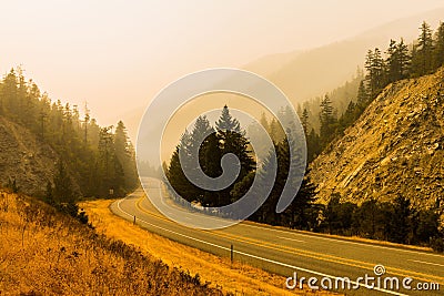 Foggy asphalt road and thick forest in the countryside Stock Photo
