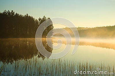 A foggy August morning on a forest lake. Southern Finland Stock Photo