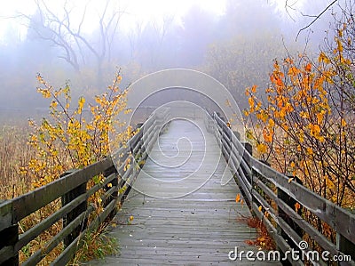 Foggy Autumn Stock Photo