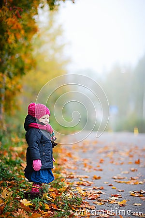 Foggy autumn day Stock Photo