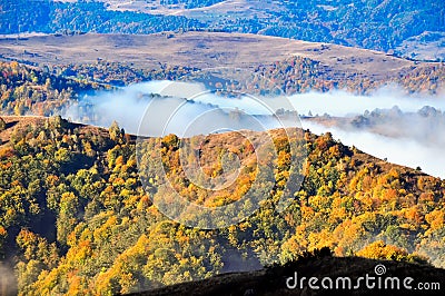 Foggy autumn landscape Stock Photo