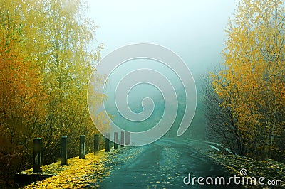 Foggy Autumn Morning Stock Photo