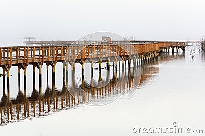 Foggy Boardwalk at the Nisqually NWR Stock Photo