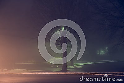 foggy city park at night. Empty streets Stock Photo