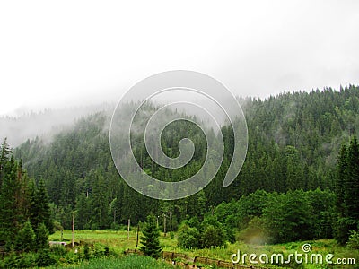 Foggy forest with clouds in Lacul Rosu lake, Transsylvania, Romania Stock Photo