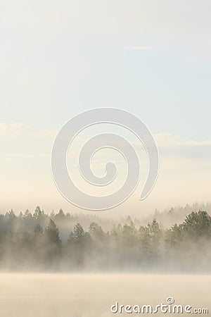 Foggy forest and lake at dawn Stock Photo