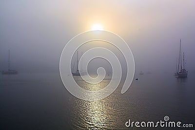 Foggy Harbor and Sailboats Stock Photo