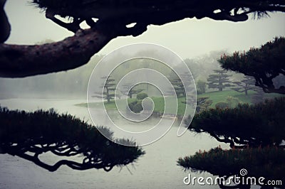 Foggy Japanese Garden Stock Photo