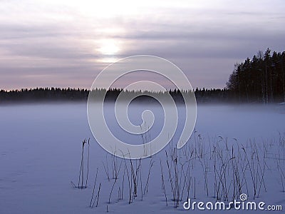 Foggy lake Stock Photo