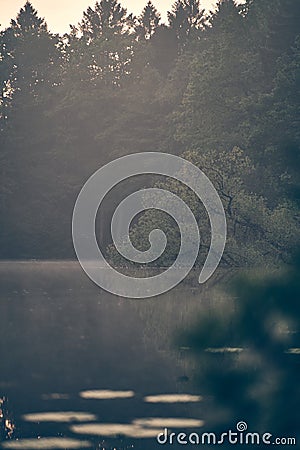 Foggy Lake in northern Germany Stock Photo