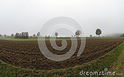 Foggy landscape with field Stock Photo