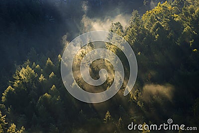 Foggy landscape. Misty morning in a valley of Bohemian Switzerland park. Landscape of Czech Republic Stock Photo