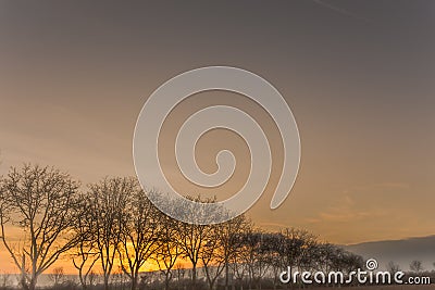 Foggy landscape Stock Photo