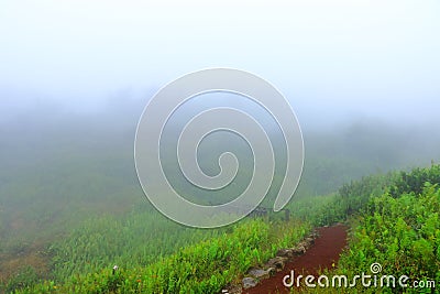 Foggy landscape on the top of Mombacho Volcano, Granada, Nicaragua Stock Photo