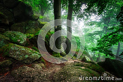 A foggy landscape of the trail from hellish Valley to Chojnik Castle in the Karkonosze Mountains. Poland Stock Photo