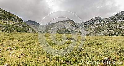 A foggy landscape, a view of the cliffs, the forest, Ergaki mountains Stock Photo