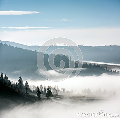 Foggy Landscape. Stock Photo