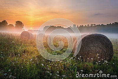 Foggy Meadow in the Lublin region. Stock Photo