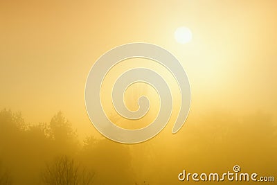 Foggy morning Stock Photo