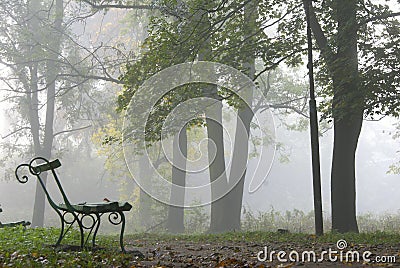 Foggy morning Stock Photo