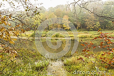 East Branch Delaware Foggy Morning Stock Photo