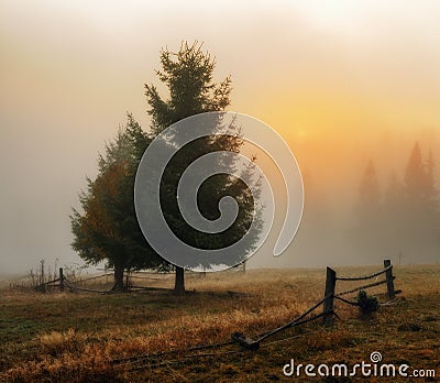 Morning. autumn dawn in the Carpathian Mountains Stock Photo