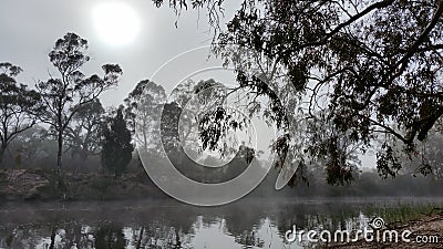 Foggy morning at camp-site in Victoria, Australia Stock Photo