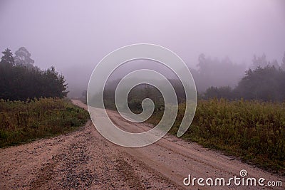 Foggy morning in countryside. Empty rural path in misty forest. Rustic autumn landscape. Stock Photo