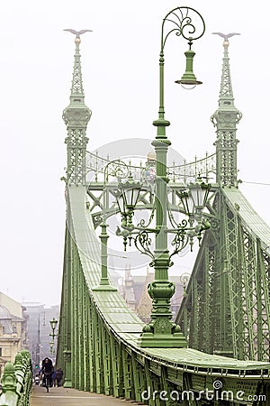 Foggy morning. Freedom Bridge in Budapest, Hungary Stock Photo