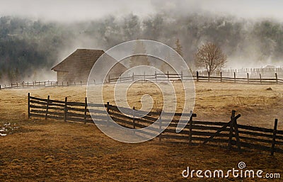 Foggy morning landscape Stock Photo