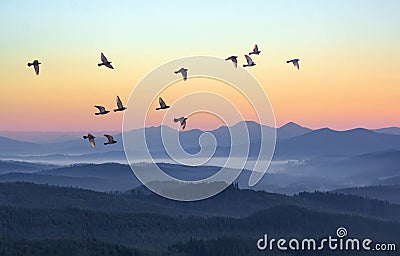 Foggy morning in the mountains with flying birds over silhouettes of hills. Serenity sunrise with soft sunlight and layers of haze Stock Photo